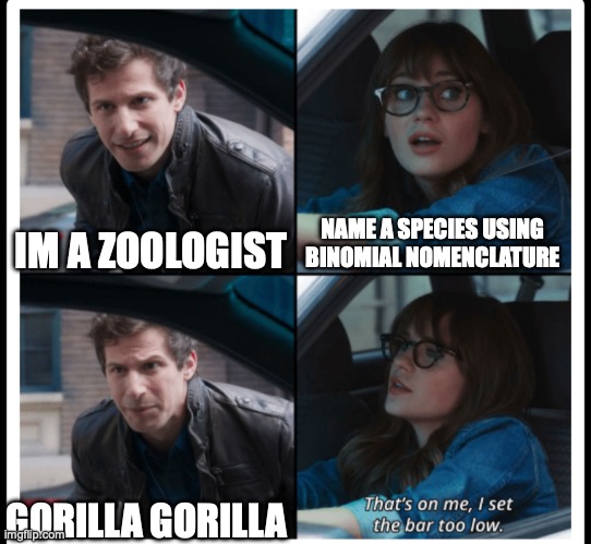 i just learned this rn | NAME A SPECIES USING BINOMIAL NOMENCLATURE; IM A ZOOLOGIST; GORILLA GORILLA | image tagged in brooklyn 99 set the bar too low,gorilla,science | made w/ Imgflip meme maker