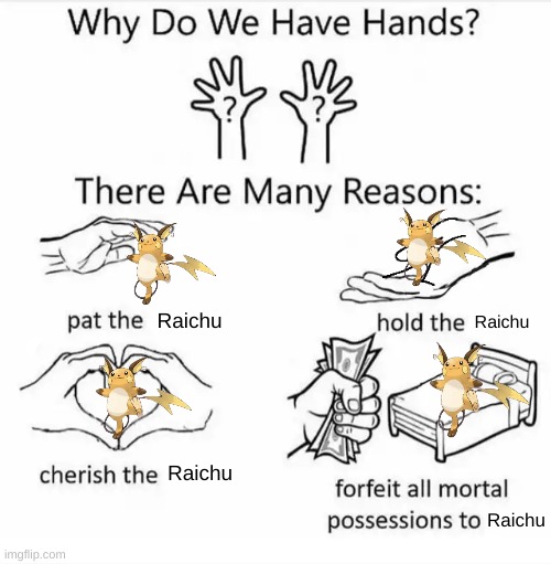 Why do we have hands? (all blank) | Raichu; Raichu; Raichu; Raichu | image tagged in why do we have hands all blank | made w/ Imgflip meme maker