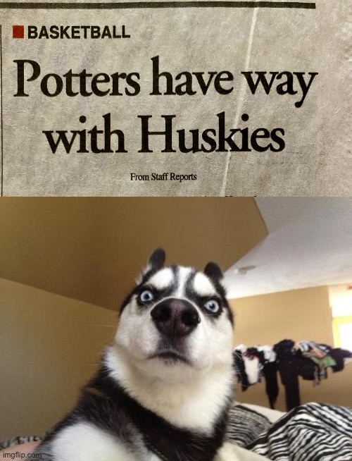 In Local News… | image tagged in husky richard,newspaper,headlines | made w/ Imgflip meme maker