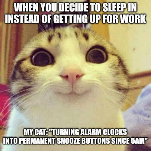 You gonna be late | WHEN YOU DECIDE TO SLEEP IN INSTEAD OF GETTING UP FOR WORK; MY CAT: "TURNING ALARM CLOCKS INTO PERMANENT SNOOZE BUTTONS SINCE 5AM" | image tagged in memes,smiling cat,funny,funny memes,fun,cats | made w/ Imgflip meme maker