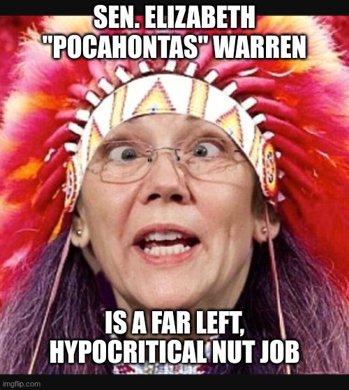 expression memes | SEN. ELIZABETH ''POCAHONTAS'' WARREN; IS A FAR LEFT, HYPOCRITICAL NUT JOB | image tagged in pocahontas,elizabeth warren | made w/ Imgflip meme maker