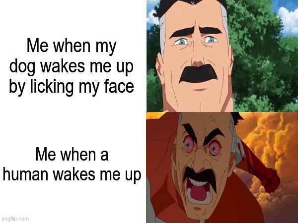 Mornings, am I right? | Me when my dog wakes me up by licking my face; Me when a human wakes me up | image tagged in memes,funny,invincible,morning | made w/ Imgflip meme maker