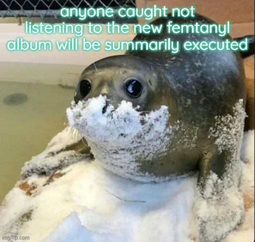 la cocaina | anyone caught not listening to the new femtanyl album will be summarily executed | image tagged in la cocaina | made w/ Imgflip meme maker