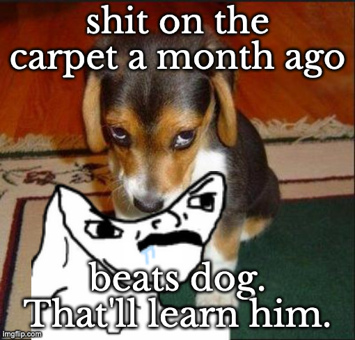 SAD DOG | shit on the carpet a month ago beats dog. That'll learn him. | image tagged in sad dog | made w/ Imgflip meme maker