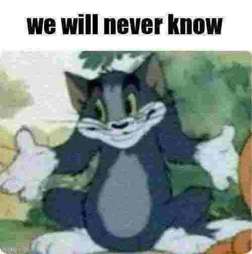 we will never know | image tagged in we will never know | made w/ Imgflip meme maker