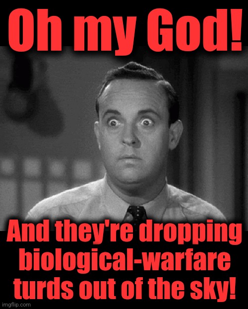 Oh my God! And they're dropping biological-warfare turds out of the sky! | image tagged in shocked face,blank black | made w/ Imgflip meme maker