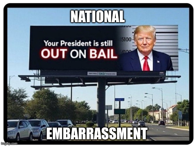 Merica Y'all | NATIONAL; EMBARRASSMENT | image tagged in trump,gop,republican,felon,criminal,maga | made w/ Imgflip meme maker