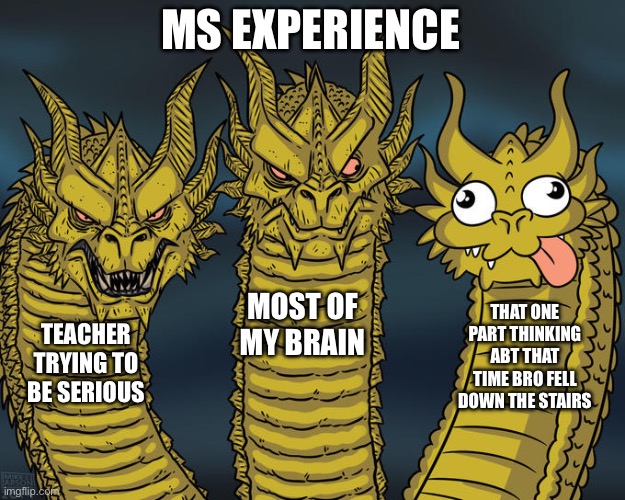 Three-headed Dragon | MS EXPERIENCE; MOST OF MY BRAIN; THAT ONE PART THINKING ABT THAT TIME BRO FELL DOWN THE STAIRS; TEACHER TRYING TO BE SERIOUS | image tagged in three-headed dragon | made w/ Imgflip meme maker