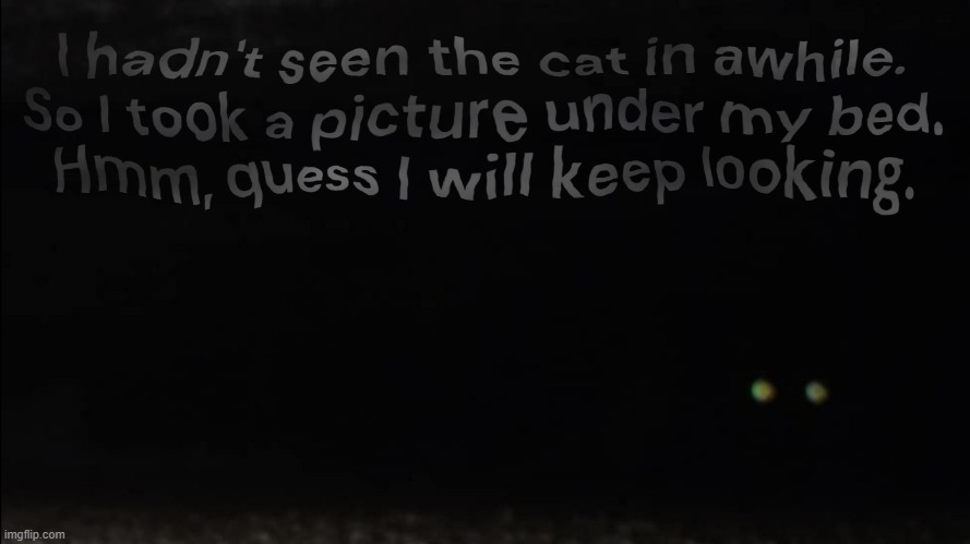 Missing Cat | image tagged in missingcat | made w/ Imgflip meme maker