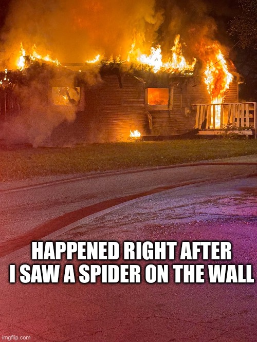 Normal thing to do | HAPPENED RIGHT AFTER I SAW A SPIDER ON THE WALL | image tagged in fire,spider,funny,lmfao,relatable,memes | made w/ Imgflip meme maker