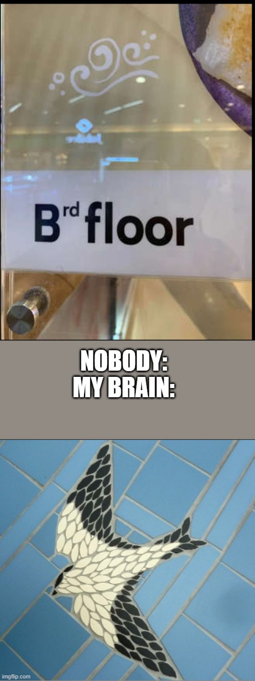 kind of a cool floor design | NOBODY:

MY BRAIN: | image tagged in bird,saturday night fever | made w/ Imgflip meme maker