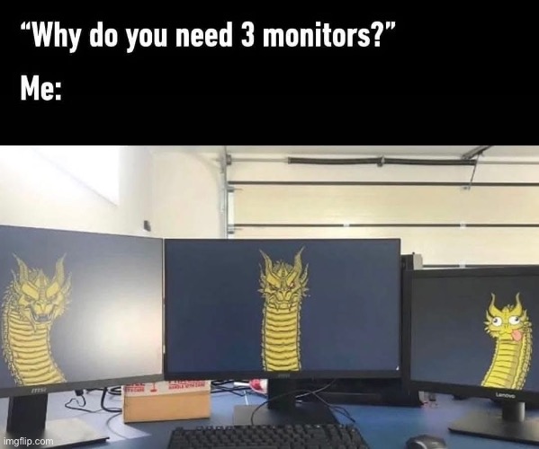 Gamer | image tagged in gamer,monitor,three-headed dragon | made w/ Imgflip meme maker