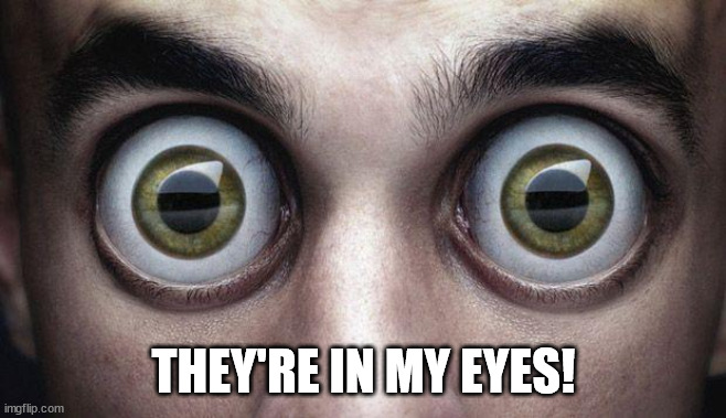 I Went Ahead and Had Eyes Installed In the Back of My Head ;) | THEY'RE IN MY EYES! | image tagged in i went ahead and had eyes installed in the back of my head | made w/ Imgflip meme maker