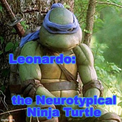 Sad Ninja Turtle | Leonardo: the Neurotypical
Ninja Turtle | image tagged in sad ninja turtle | made w/ Imgflip meme maker