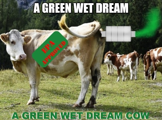 A Green Wet Dream | A GREEN WET DREAM | made w/ Imgflip meme maker