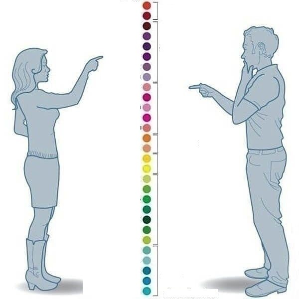 woman vs man colour Blank Meme Template