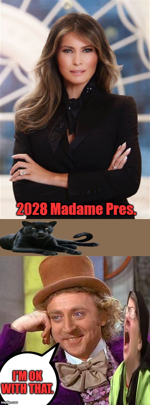 Suck it up buttercups, it could happen. | 2028 Madame Pres. I'M OK WITH THAT. | image tagged in memes,creepy condescending wonka | made w/ Imgflip meme maker