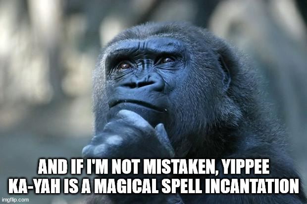 Deep Thoughts | AND IF I'M NOT MISTAKEN, YIPPEE KA-YAH IS A MAGICAL SPELL INCANTATION | image tagged in deep thoughts | made w/ Imgflip meme maker