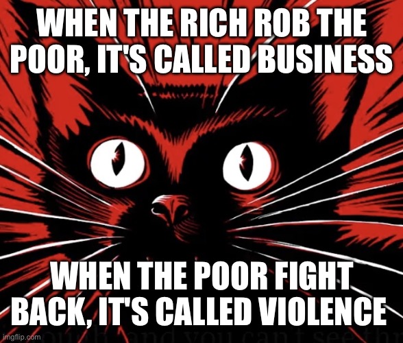 Sabo tabby cat | WHEN THE RICH ROB THE POOR, IT'S CALLED BUSINESS; WHEN THE POOR FIGHT BACK, IT'S CALLED VIOLENCE | image tagged in sabo tabby cat | made w/ Imgflip meme maker