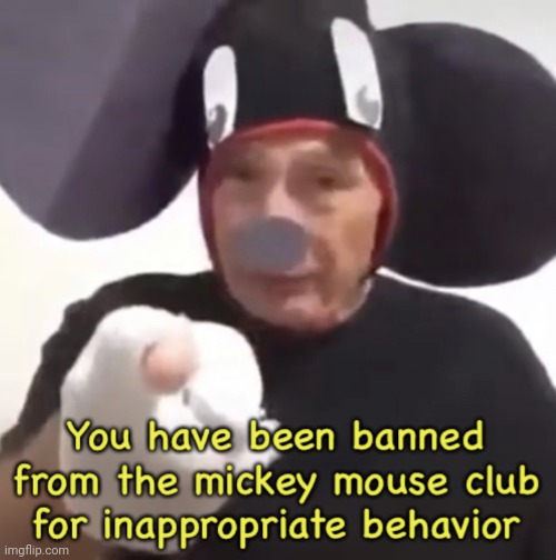 Banned From The Mickey Mouse Club | image tagged in banned from the mickey mouse club | made w/ Imgflip meme maker