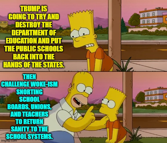 Unfortunately it will take about twenty years to return sanity to most state educational systems. | TRUMP IS GOING TO TRY AND DESTROY THE DEPARTMENT OF EDUCATION AND PUT THE PUBLIC SCHOOLS BACK INTO THE HANDS OF THE STATES. THEN CHALLENGE WOKE-ISM SNORTING SCHOOL BOARDS, UNIONS, AND TEACHERS TO RETURN SANITY TO THE SCHOOL SYSTEMS. | image tagged in simpsons so far | made w/ Imgflip meme maker