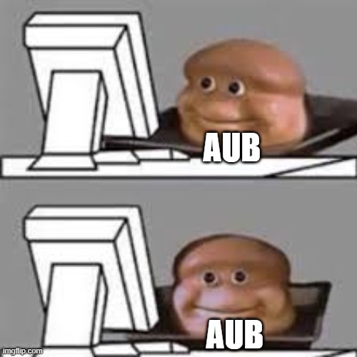 computer stare | AUB AUB | image tagged in computer stare | made w/ Imgflip meme maker