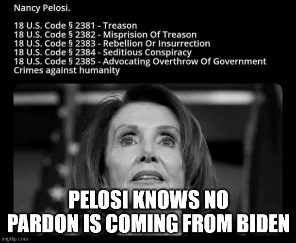 Coincidence Pelosi "breaks hip" now? | PELOSI KNOWS NO PARDON IS COMING FROM BIDEN | image tagged in pelosi,no pardon for you | made w/ Imgflip meme maker