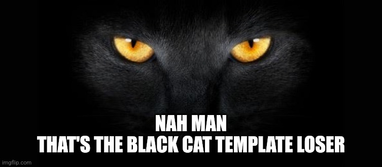 Black cats | NAH MAN
THAT'S THE BLACK CAT TEMPLATE LOSER | image tagged in black cats | made w/ Imgflip meme maker