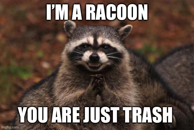 You are trash | I’M A RACOON; YOU ARE JUST TRASH | image tagged in evil genius racoon | made w/ Imgflip meme maker