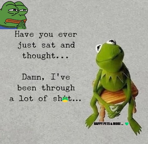🐸; HAPPY PETS & MORE ...  💚 | made w/ Imgflip meme maker