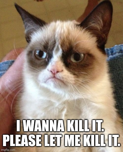 Cat loses it | I WANNA KILL IT.  PLEASE LET ME KILL IT. | image tagged in memes,grumpy cat | made w/ Imgflip meme maker