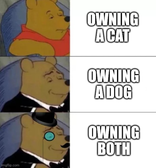 Fancy pooh | OWNING A CAT OWNING A DOG OWNING BOTH | image tagged in fancy pooh | made w/ Imgflip meme maker