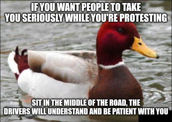 Malicious Advice Mallard Meme | IF YOU WANT PEOPLE TO TAKE YOU SERIOUSLY WHILE YOU'RE PROTESTING; SIT IN THE MIDDLE OF THE ROAD, THE DRIVERS WILL UNDERSTAND AND BE PATIENT WITH YOU | image tagged in memes,malicious advice mallard | made w/ Imgflip meme maker