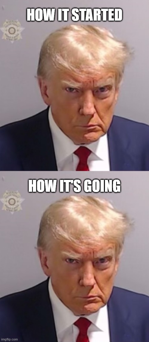 HOW IT STARTED HOW IT'S GOING | image tagged in donald trump mugshot | made w/ Imgflip meme maker