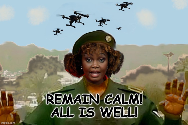 It's Fine, We're Fine! | REMAIN CALM!
ALL IS WELL! | image tagged in murder drones,kjp,karinne jean piere,karinne jean pierre | made w/ Imgflip meme maker