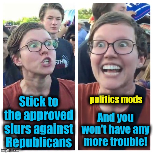 Social Justice Warrior Hypocrisy | Stick to
the approved
slurs against
Republicans politics mods And you won't have any more trouble! | image tagged in social justice warrior hypocrisy | made w/ Imgflip meme maker