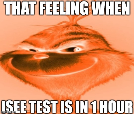 It is in facy | THAT FEELING WHEN; ISEE TEST IS IN 1 HOUR | image tagged in knee surgery | made w/ Imgflip meme maker