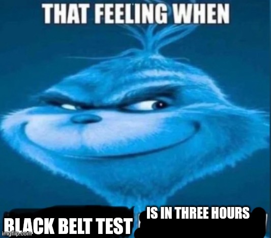 that feeling when x is tomorrow | IS IN THREE HOURS; BLACK BELT TEST | image tagged in that feeling when x is tomorrow | made w/ Imgflip meme maker