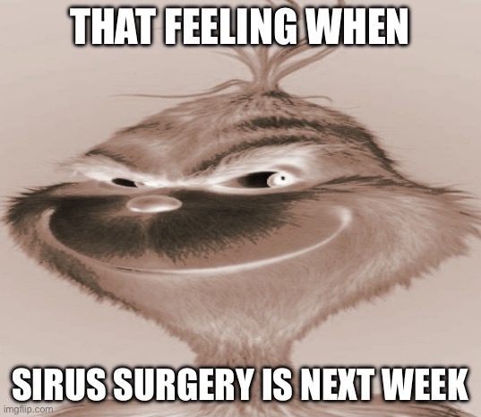 Dea lore | THAT FEELING WHEN; SIRUS SURGERY IS NEXT WEEK | image tagged in blue grinch | made w/ Imgflip meme maker