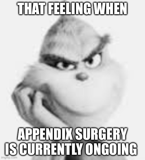 white grinch | THAT FEELING WHEN; APPENDIX SURGERY IS CURRENTLY ONGOING | image tagged in white grinch | made w/ Imgflip meme maker