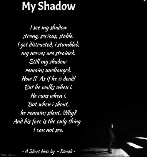 My Shadow | image tagged in remains unchanged,remains silent,is always with me,strong serious stable,his face is the,only thing i cannot see | made w/ Imgflip meme maker