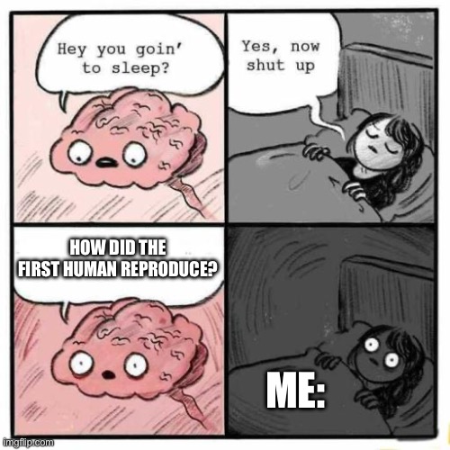 How did it guys? | HOW DID THE FIRST HUMAN REPRODUCE? ME: | image tagged in hey you going to sleep | made w/ Imgflip meme maker