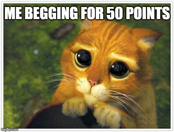 pls im so close to 20k | ME BEGGING FOR 50 POINTS | image tagged in memes,shrek cat | made w/ Imgflip meme maker