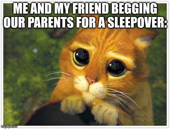 we still have to do this lol | ME AND MY FRIEND BEGGING OUR PARENTS FOR A SLEEPOVER: | image tagged in memes,shrek cat | made w/ Imgflip meme maker