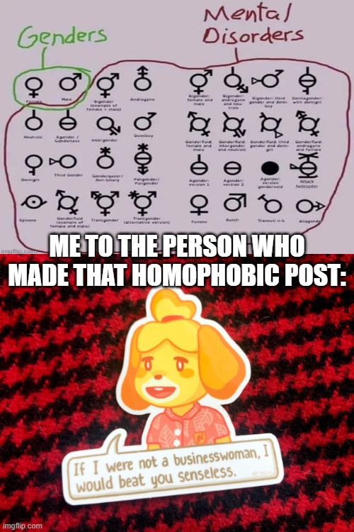 . . . | ME TO THE PERSON WHO MADE THAT HOMOPHOBIC POST: | image tagged in lgbtq | made w/ Imgflip meme maker