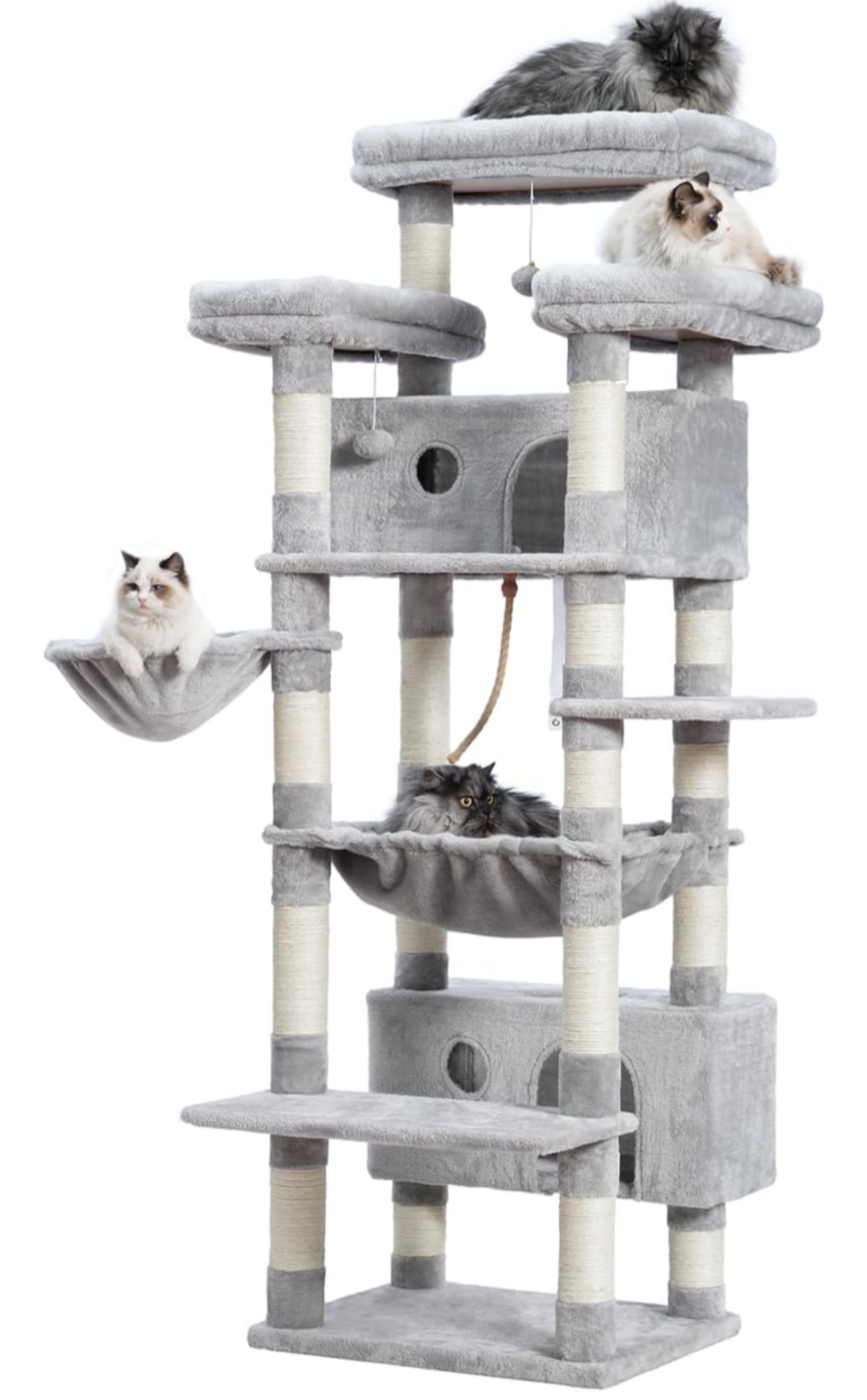 Cat tree Blank Meme Template