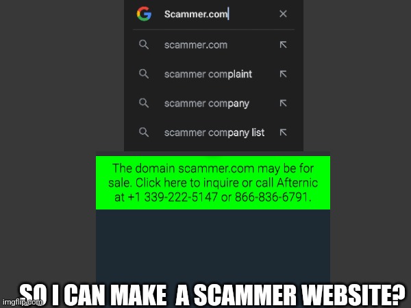 So Apparently I Could Make My Own Scammer Website Domain | SO I CAN MAKE  A SCAMMER WEBSITE? | image tagged in memes,scammers,website,for sale,scammer,public domain | made w/ Imgflip meme maker