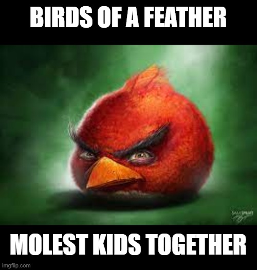 Realistic Red Angry Birds | BIRDS OF A FEATHER MOLEST KIDS TOGETHER | image tagged in realistic red angry birds | made w/ Imgflip meme maker