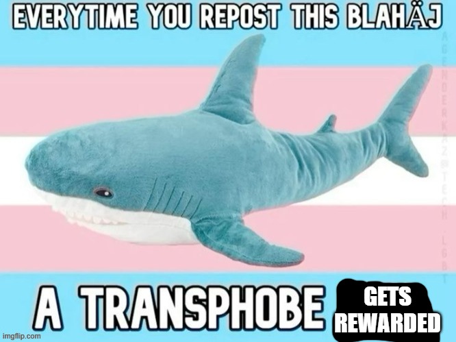 Transphobe killing Blahaj | GETS REWARDED | made w/ Imgflip meme maker