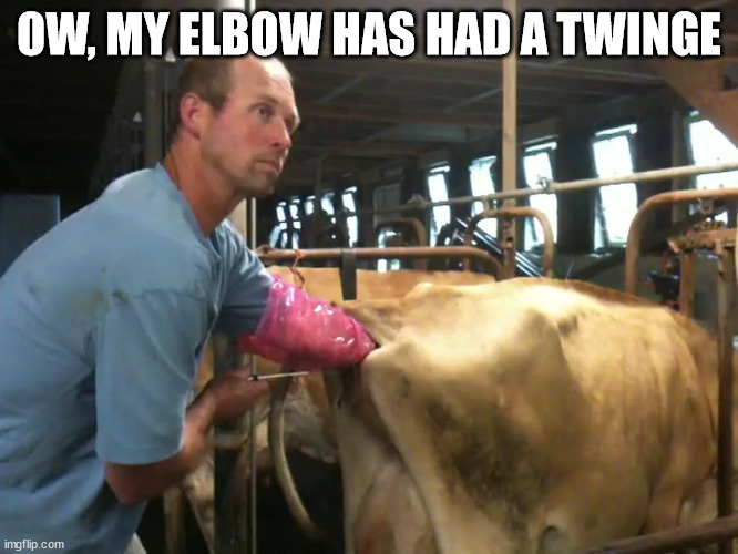 Elbow Deep in a Cow | OW, MY ELBOW HAS HAD A TWINGE | image tagged in elbow deep in a cow | made w/ Imgflip meme maker